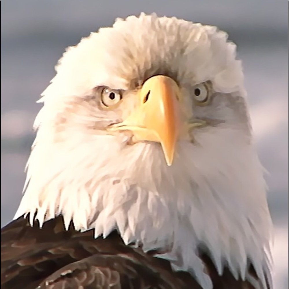 Meet your Posher, Kyle